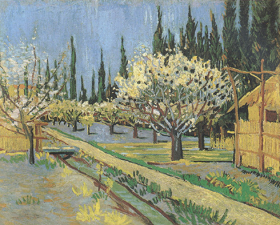 Orchard in Blossom,Bordered by Cypresses (nn04)